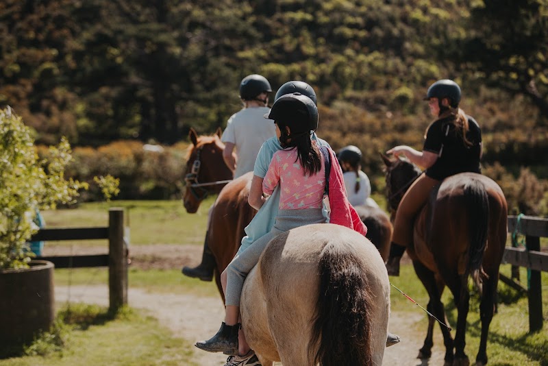 Littleriver Equestrian