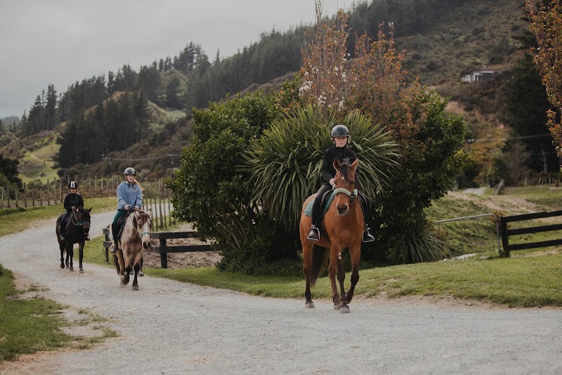 Littleriver Equestrian photo 2