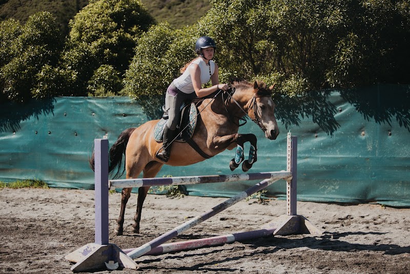 Littleriver Equestrian photo 3