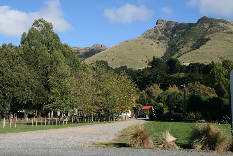Living Springs Farm Parks photo 3