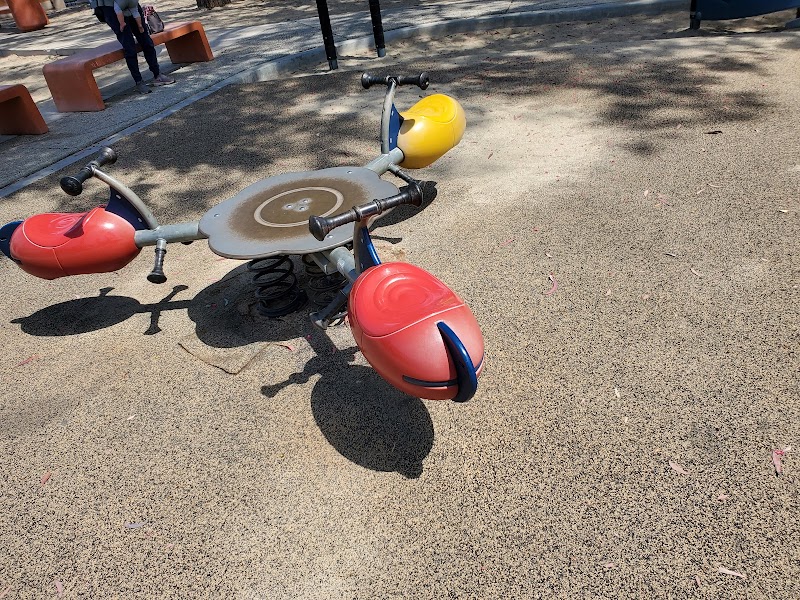 Livingston Park Playground photo 2