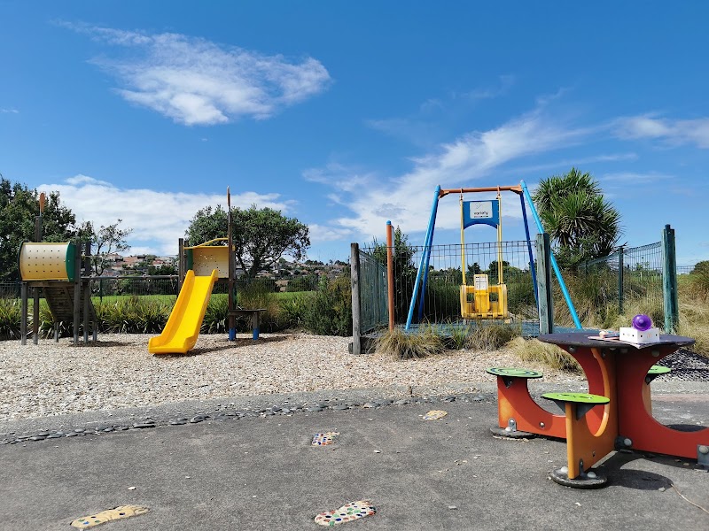 Lloyd Elsmore Park Playground