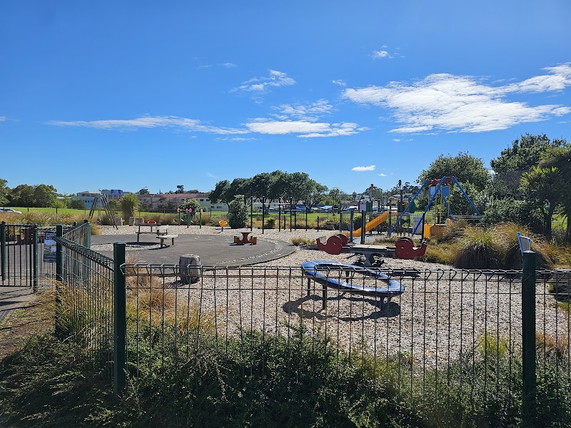 Lloyd Elsmore Park Playground photo 2