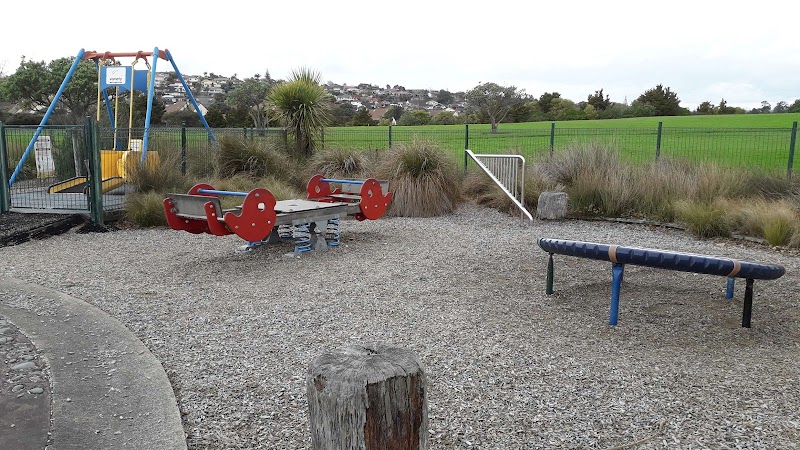 Lloyd Elsmore Park Playground photo 3