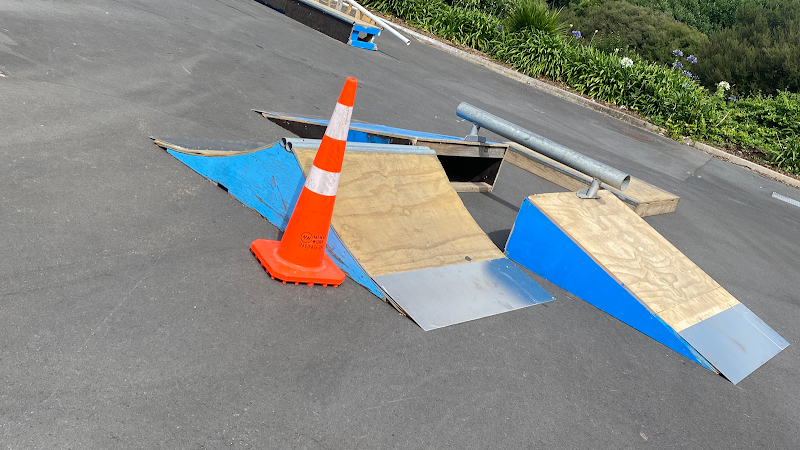 Lloyd Elsmore Skatepark (eastskateclub)