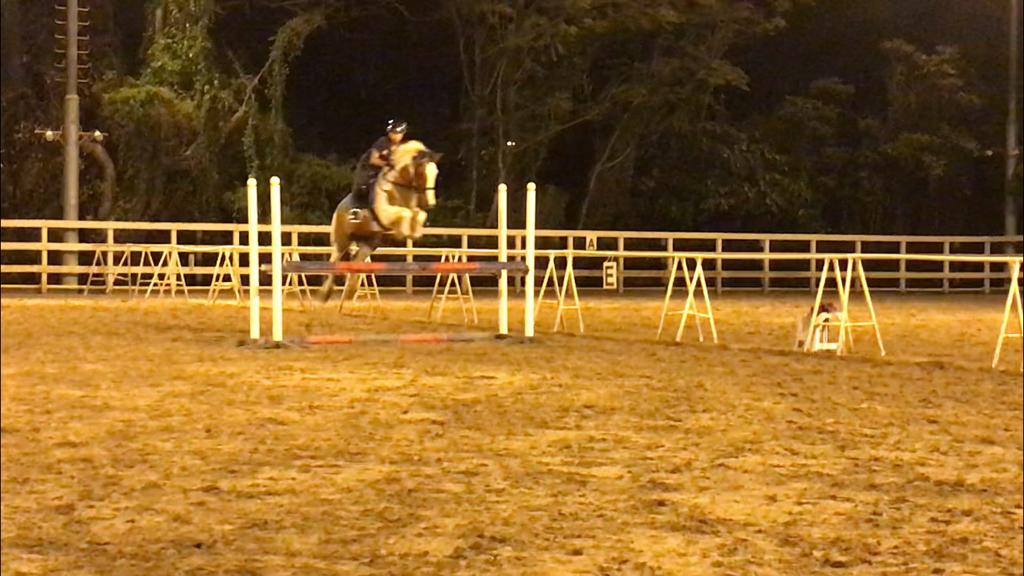 Lo Wu Saddle Club photo 3