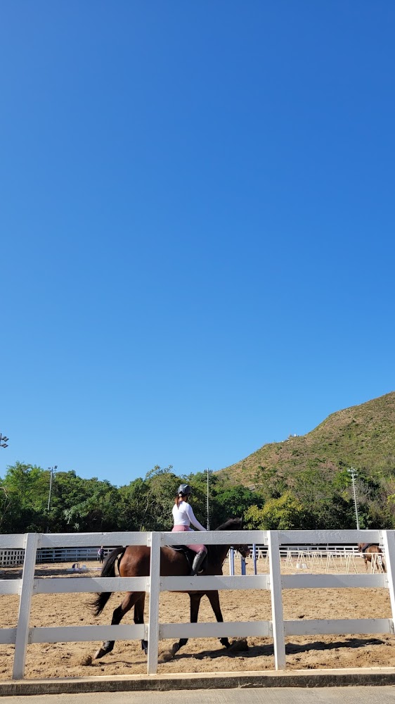 Lo Wu Saddle Club photo 4