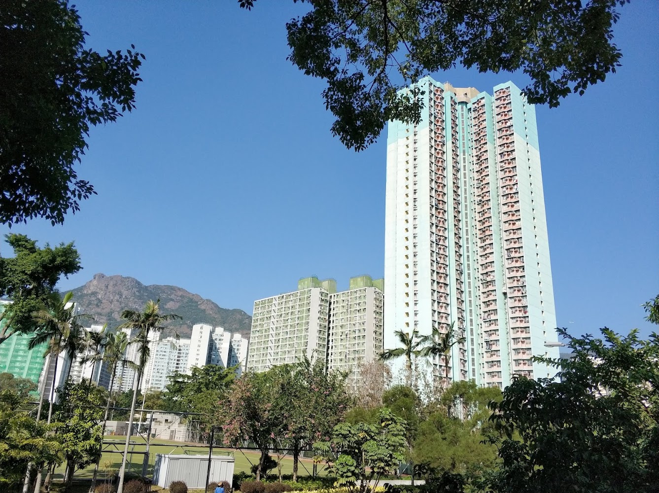 Lok Fu Recreation Ground photo 4