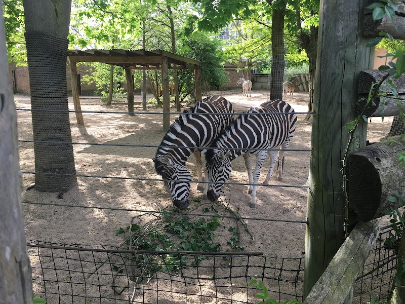 London Zoo photo 2