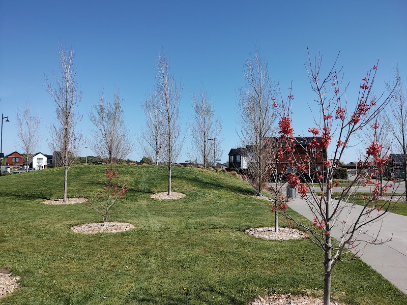 Longhurst Playground photo 2