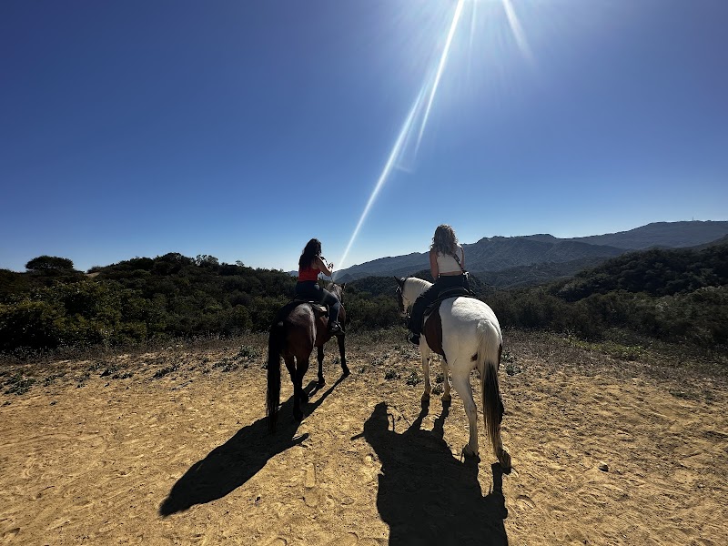 Los Angeles Horseback Riding