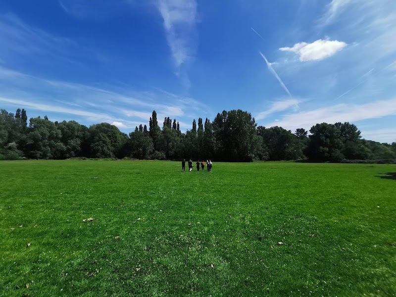 Lower Crumpsall Recreation Ground photo 2