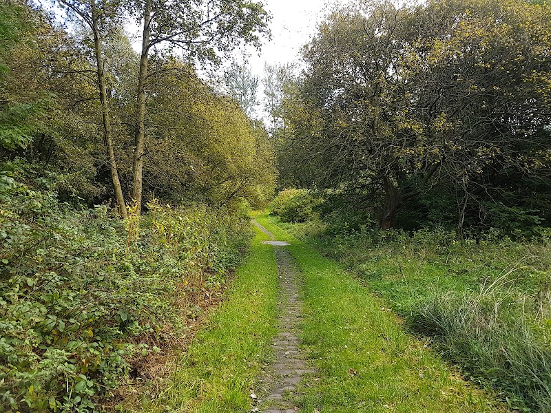 Lower Crumpsall Recreation Ground photo 3