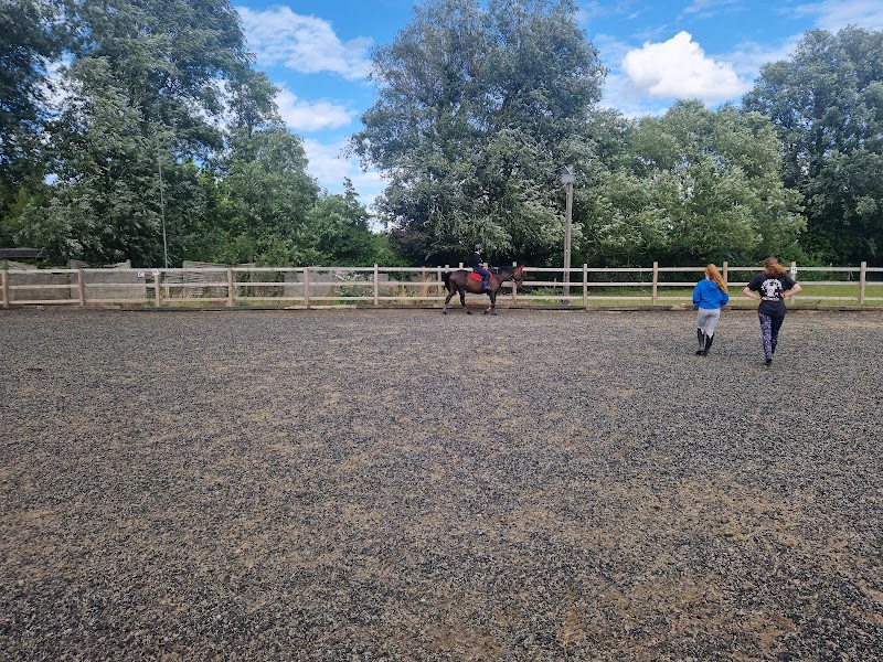 Lower Morden Equestrian Centre photo 2