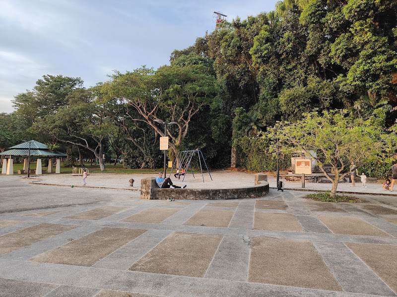 LP Mini Playground