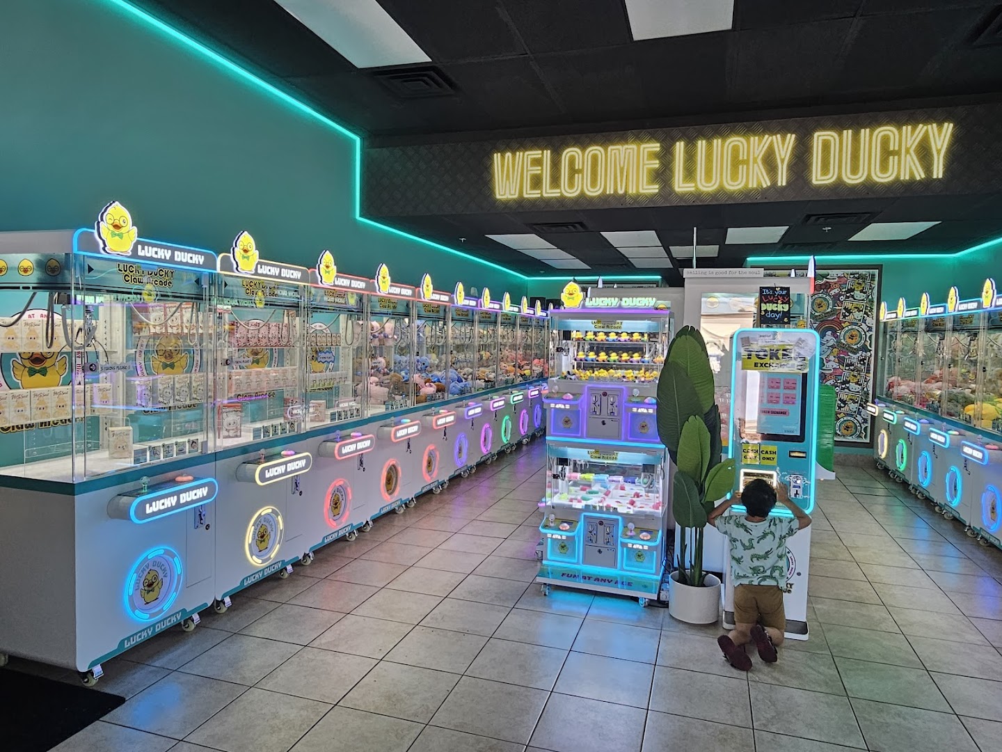 Photo of Lucky Ducky Claw Arcade in Nevada