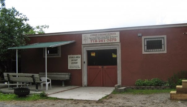 Lynne's Riding Center NYC