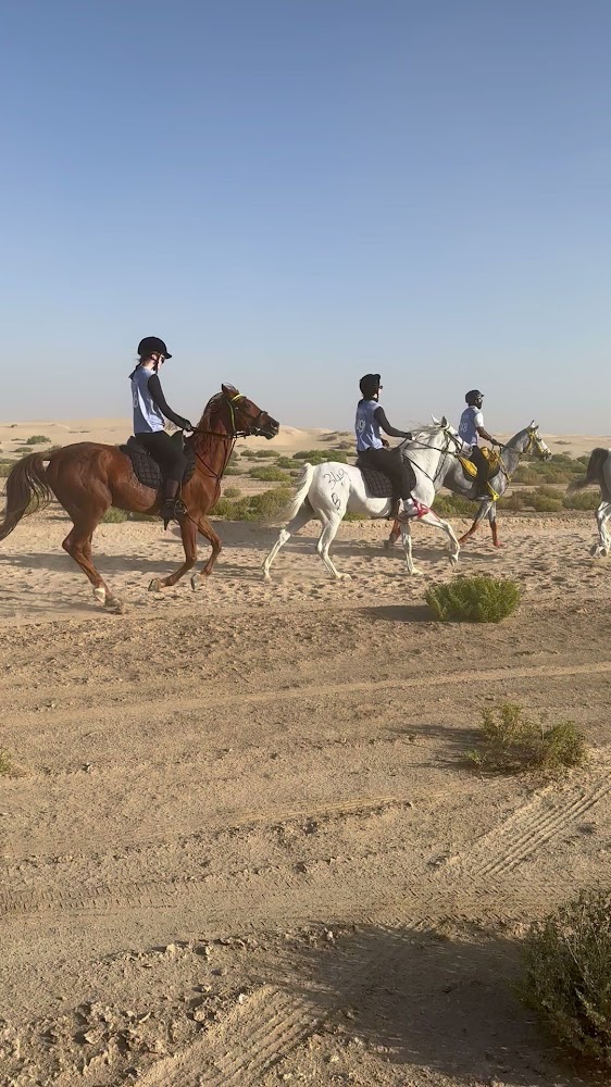 M11 Equestrian Club photo 3