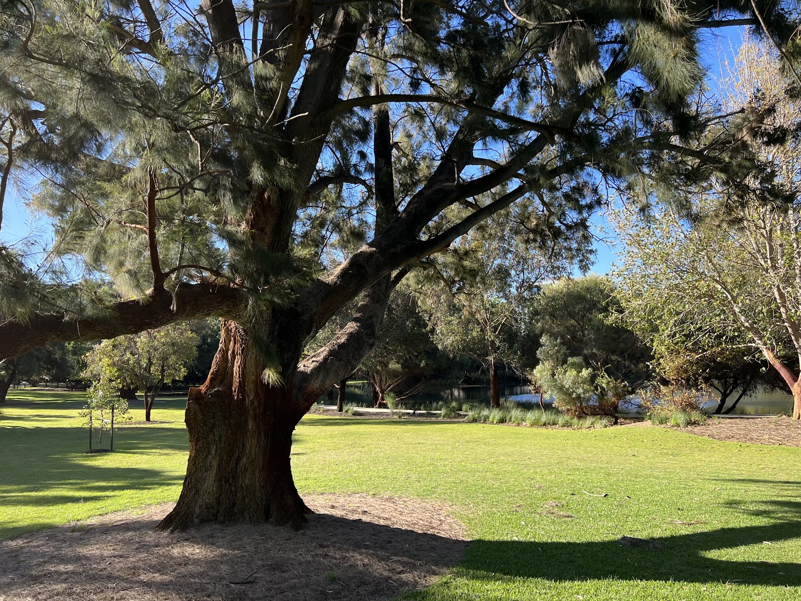 Mabel Talbot Park photo 2