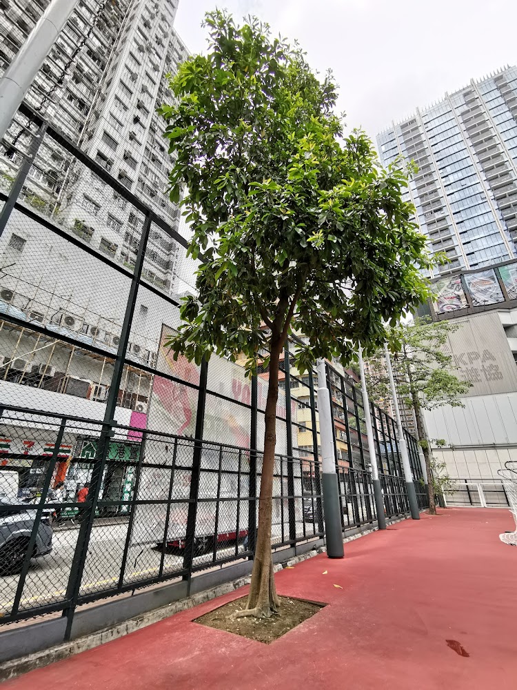 MacPherson Playground photo 4