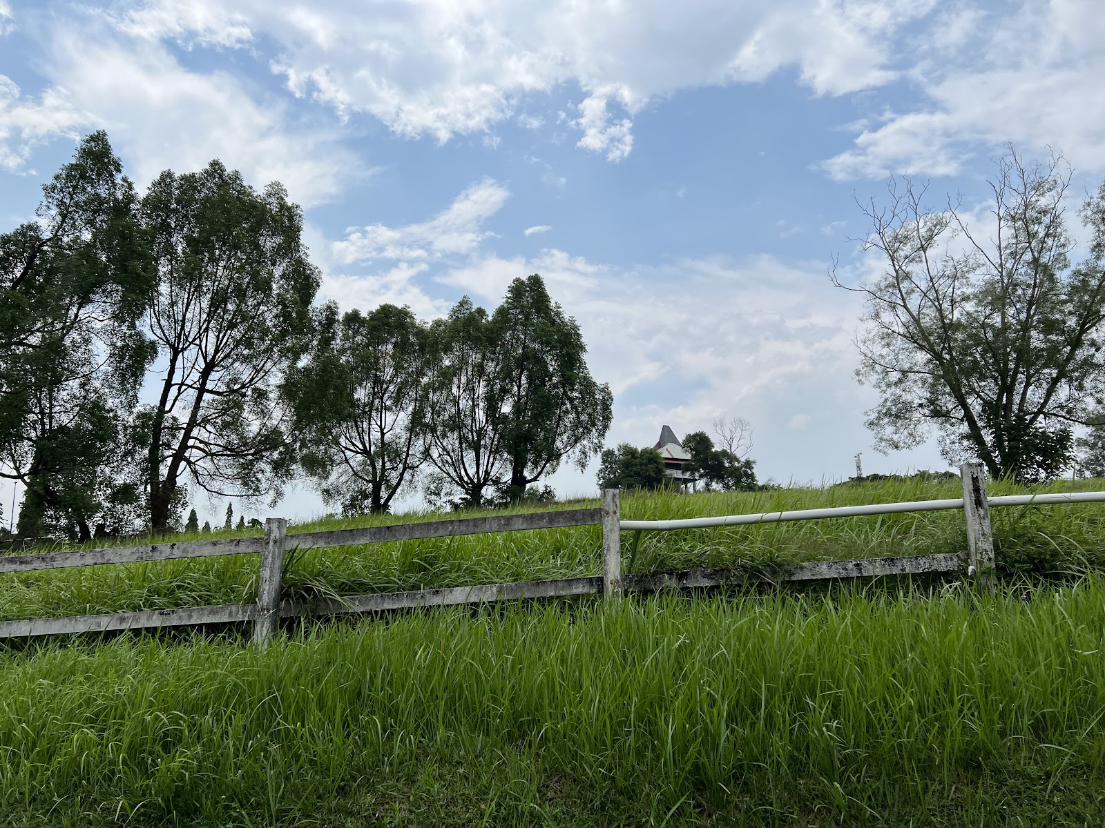 MAEPS Horseback Riding photo 2