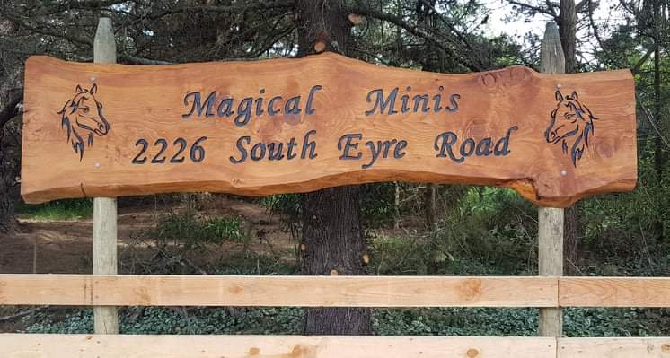 Photo of Magical Minis in Canterbury