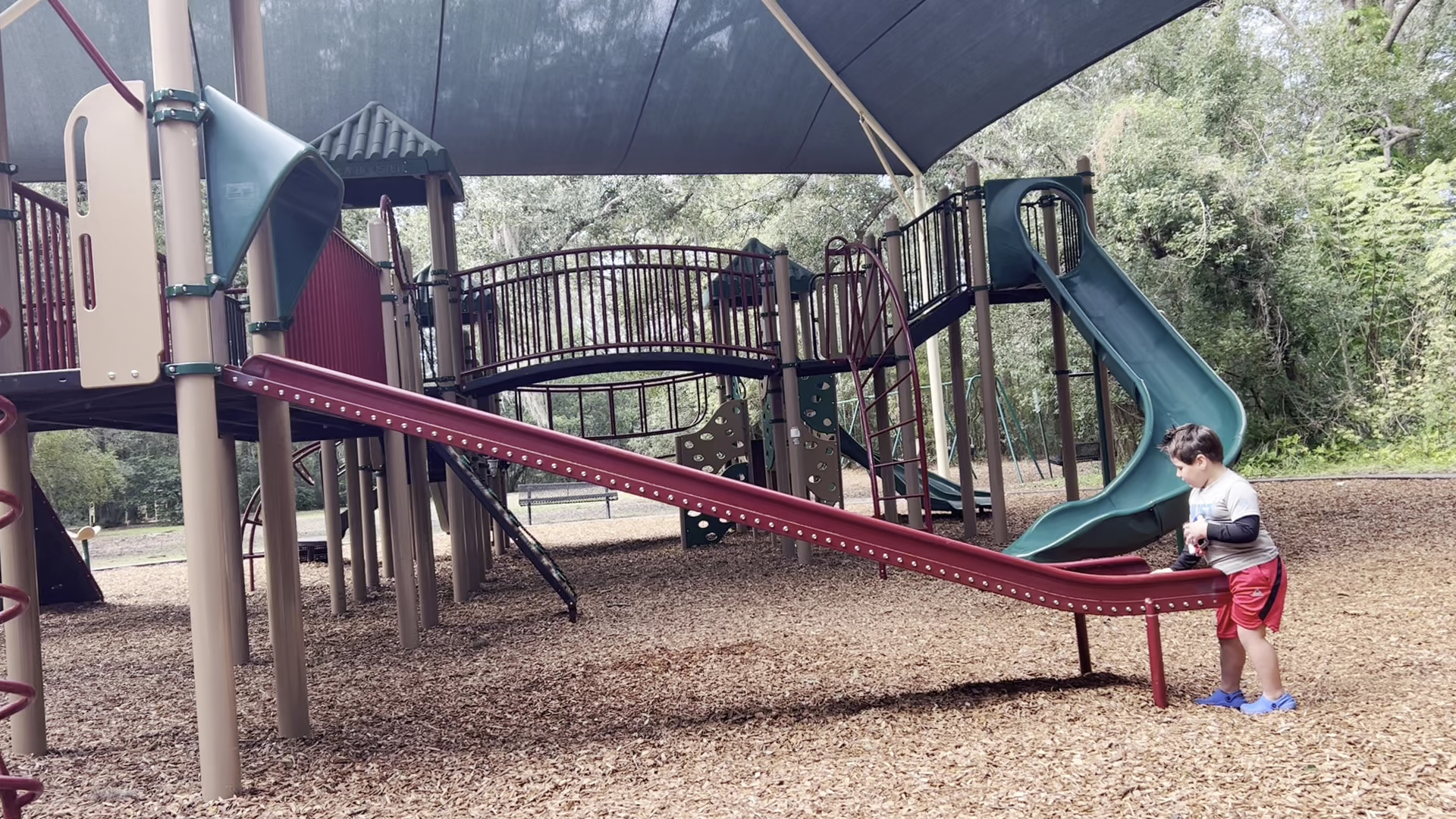 Maitland Community Park photo 2