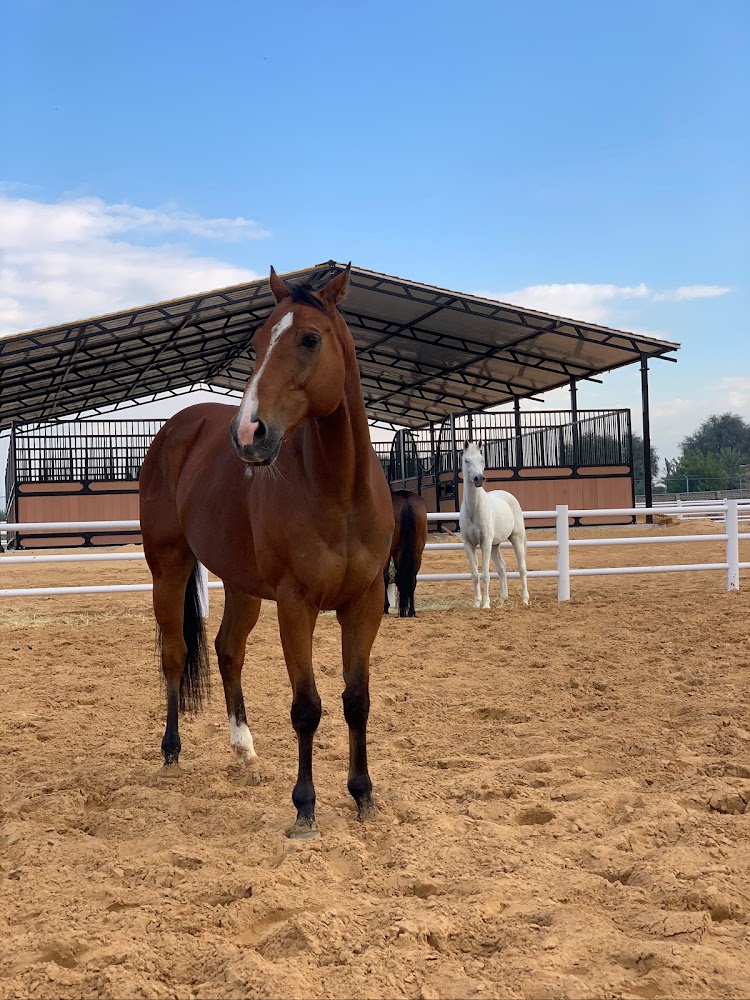 Malath Paddock Paradise photo 2