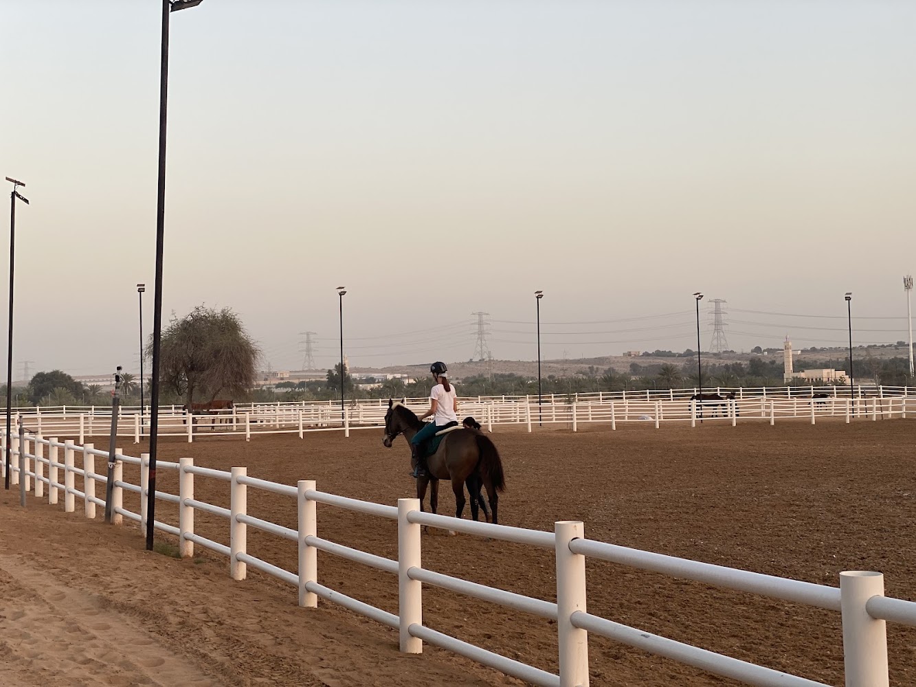 Malath Paddock Paradise photo 4