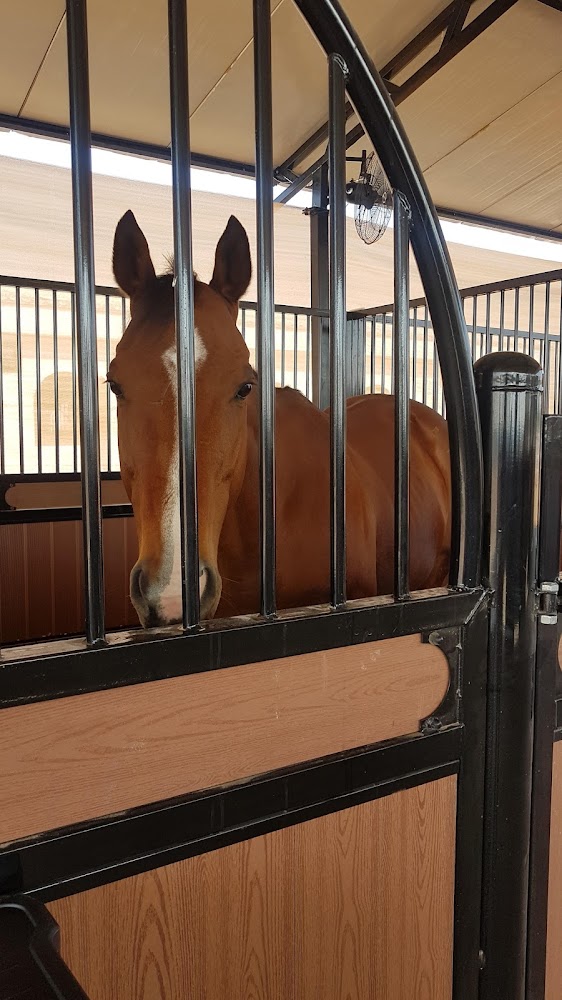 Malath Paddock Paradise photo 5