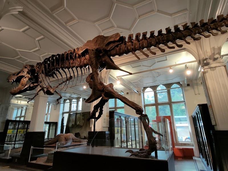 Manchester Museum photo 2