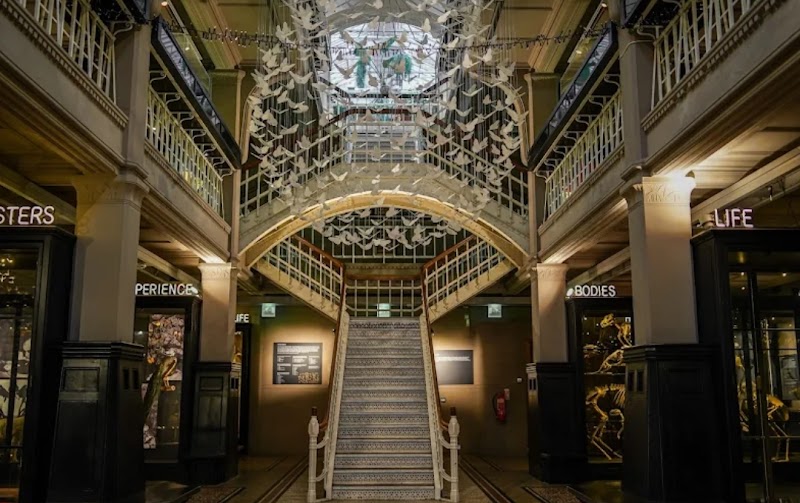 Manchester Museum photo 3