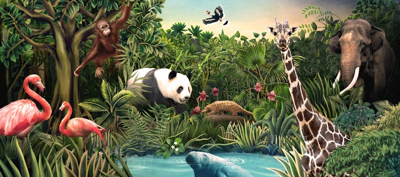 Mandai Wildlife Reserve