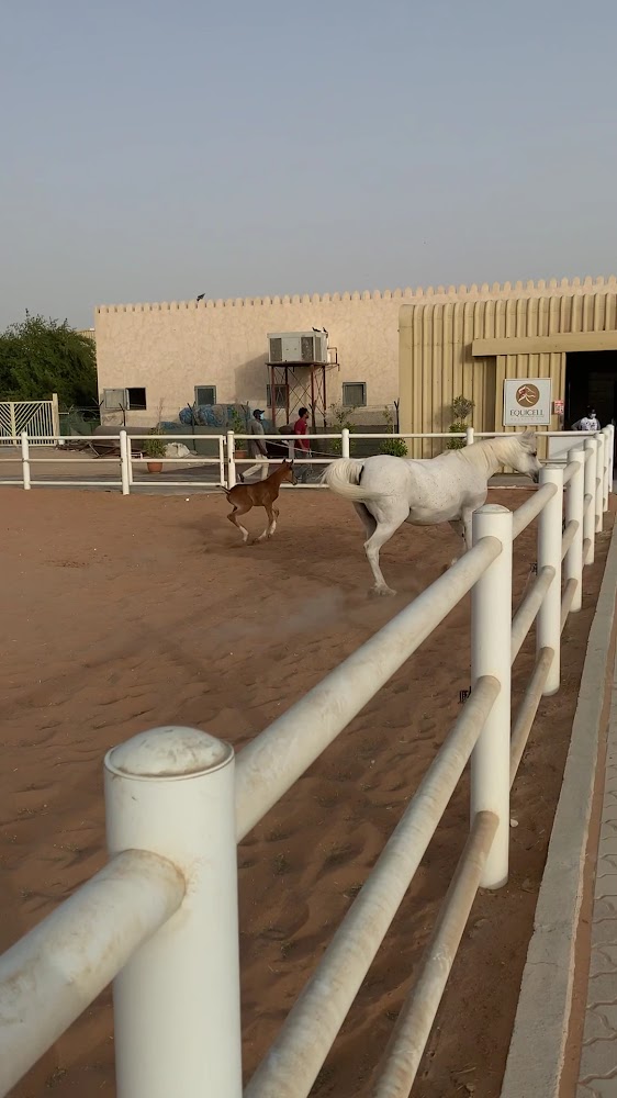 Mandara Equestrian Club photo 3