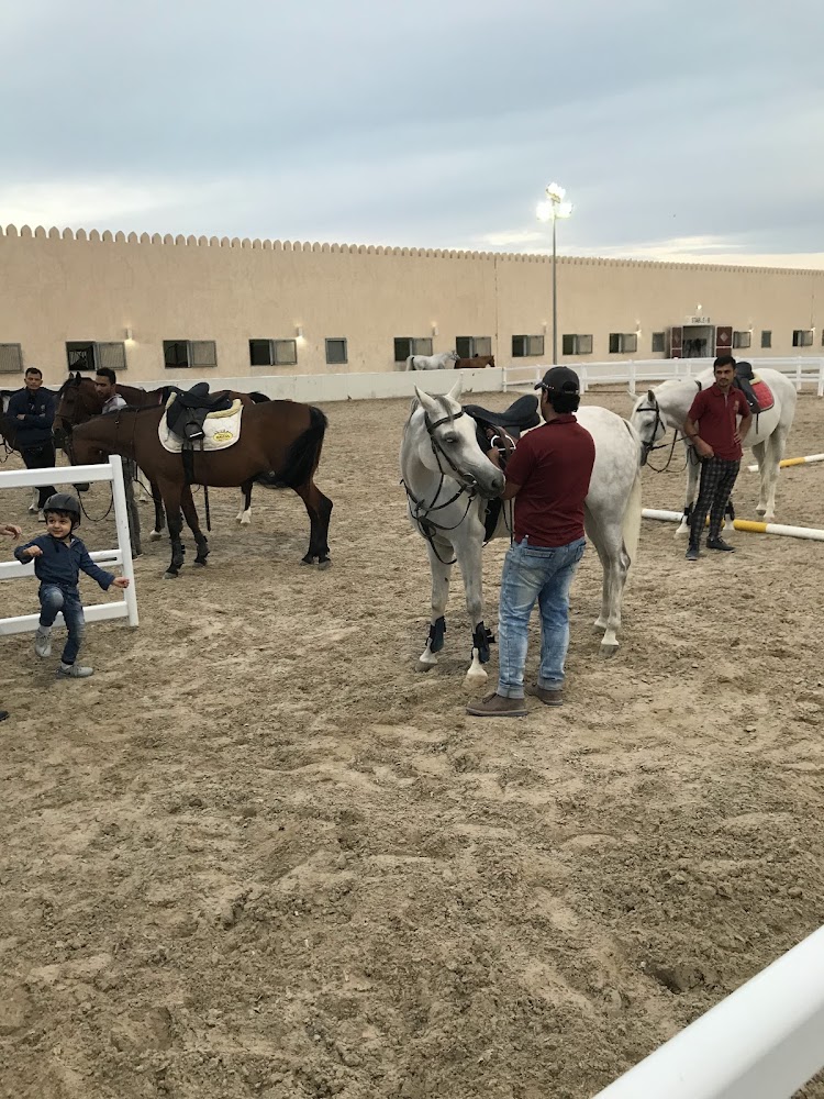 Mandara Equestrian Club photo 5