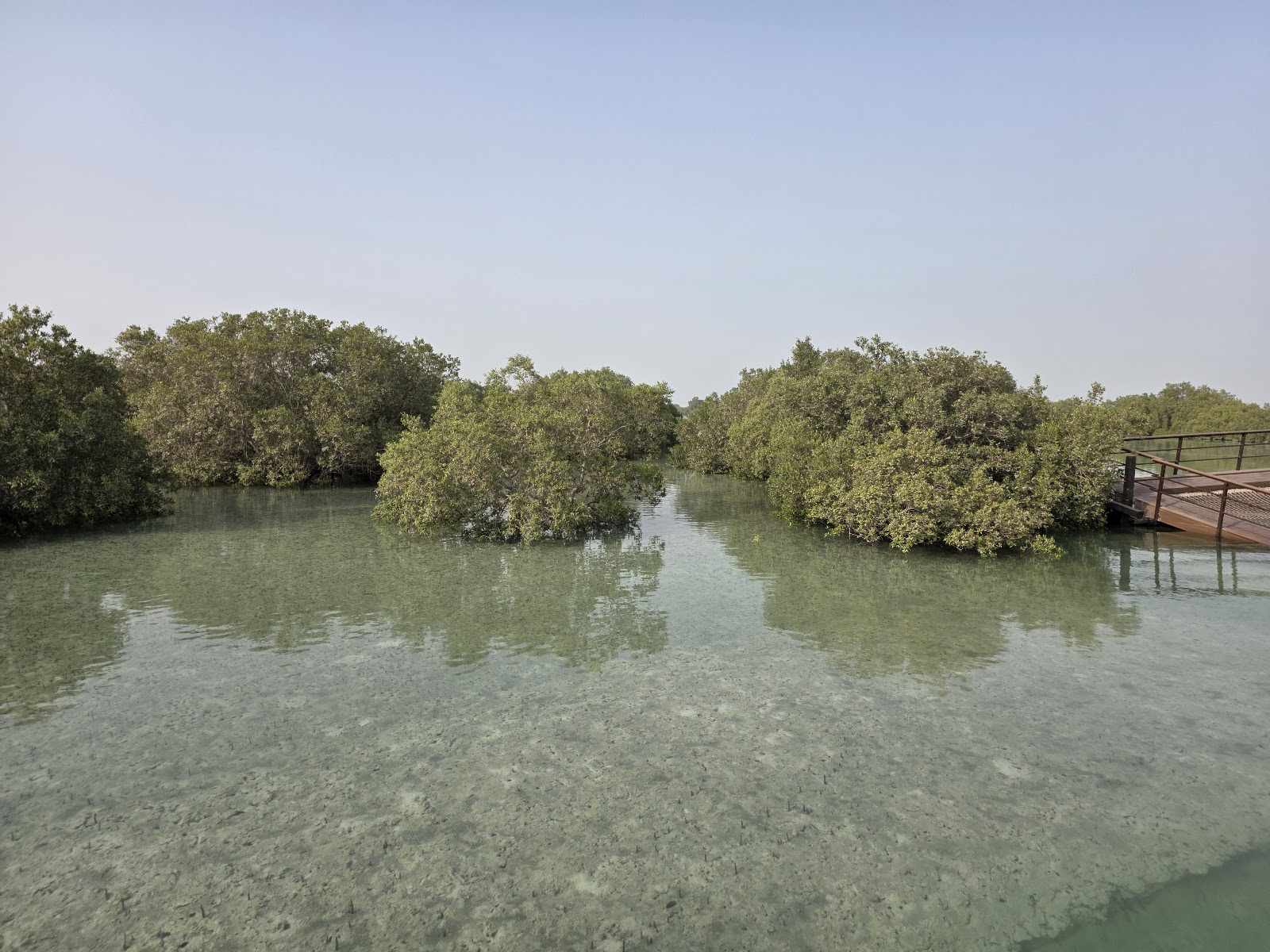 Mangrove Adventures - Jubail Mangrove Park photo 2