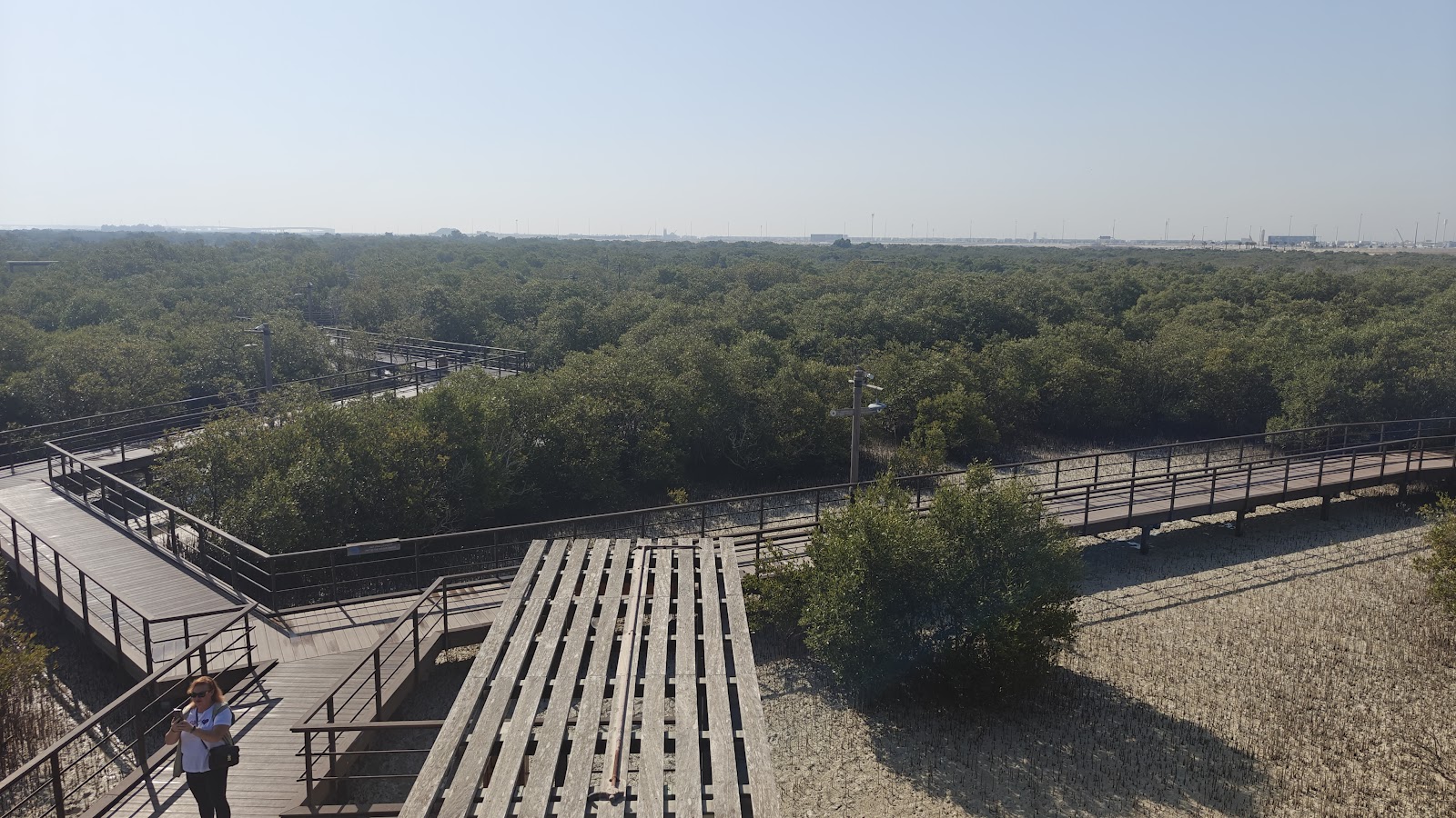 Mangrove Adventures - Jubail Mangrove Park photo 3