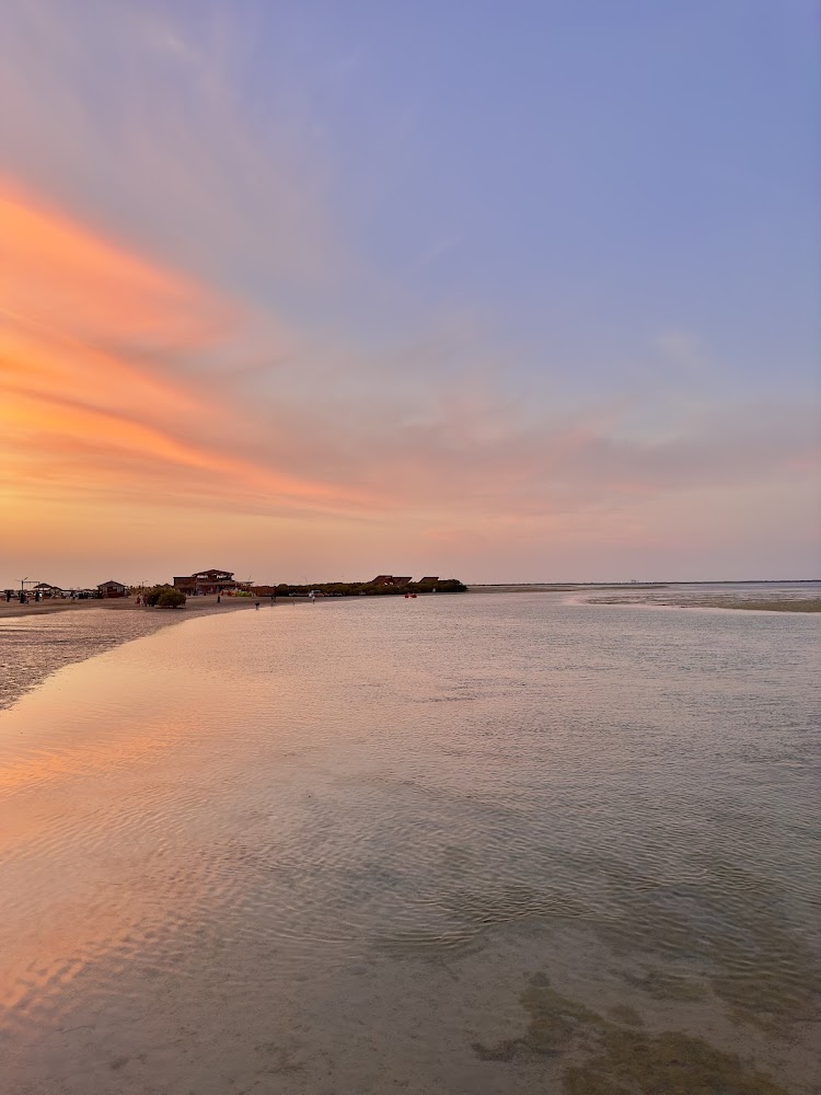 Mangrove Beach photo 5