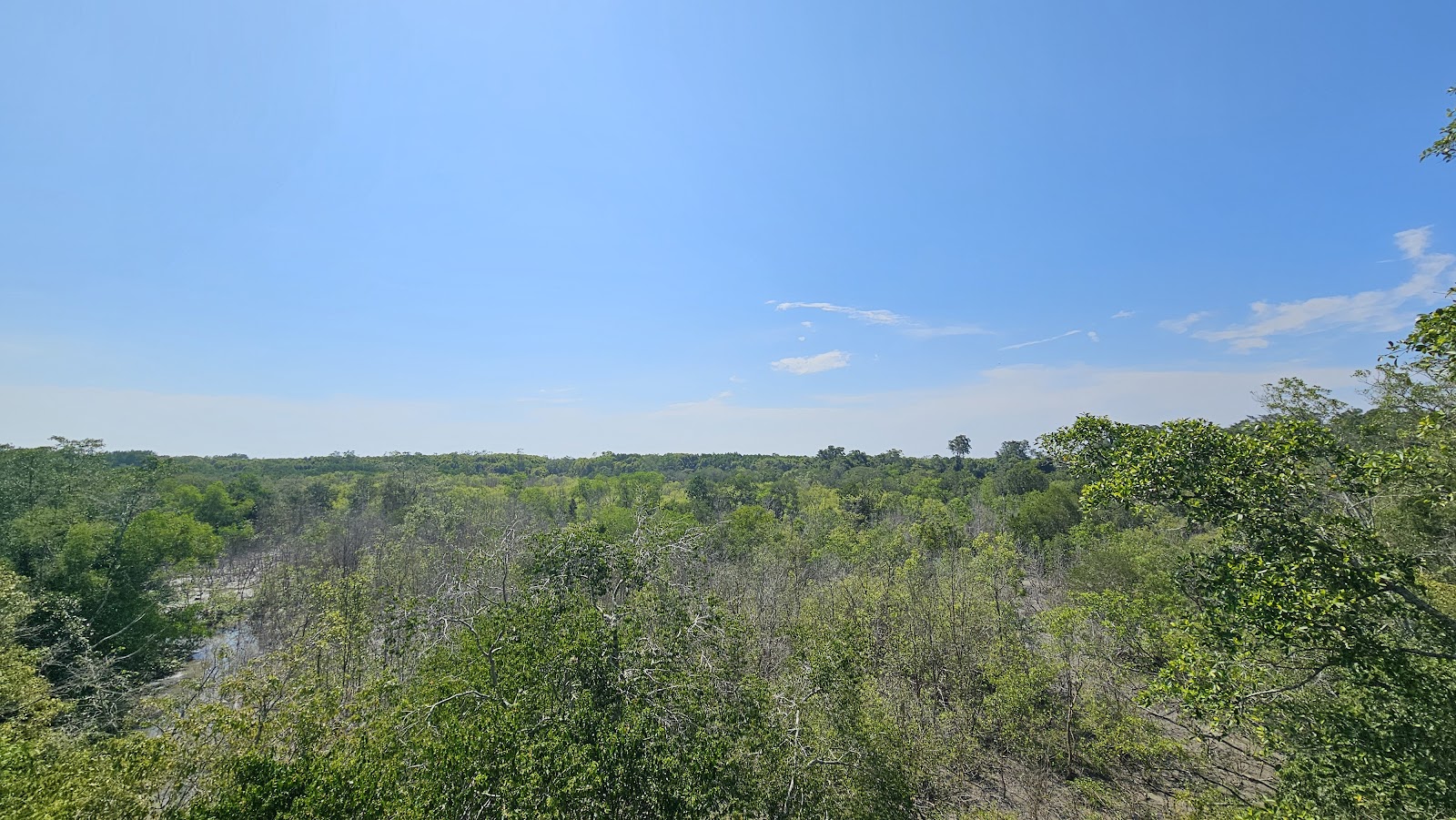 Mangrove Boardwalk (Kuala Selangor Nature Park) photo 2