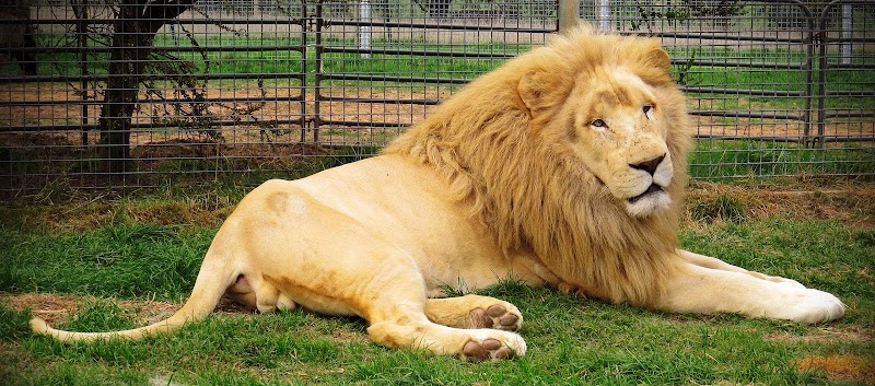 Mansfield Zoo