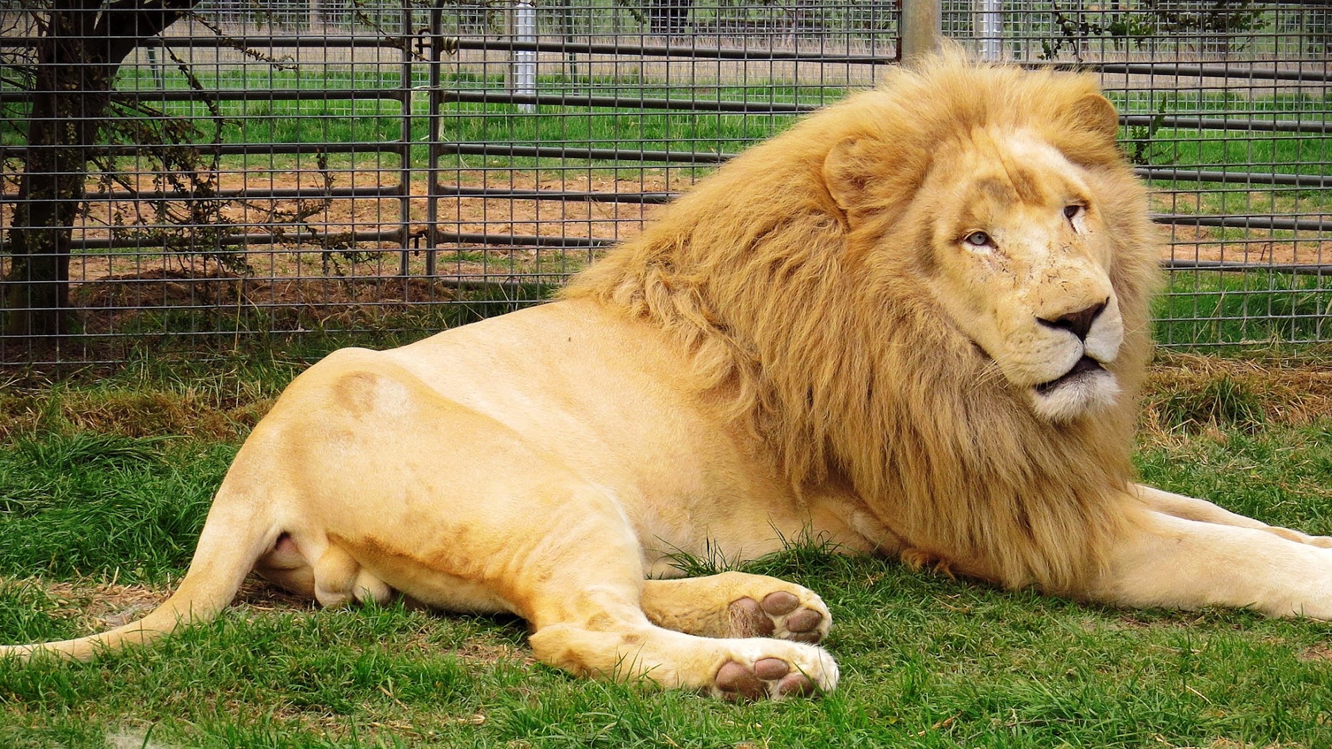Mansfield Zoo