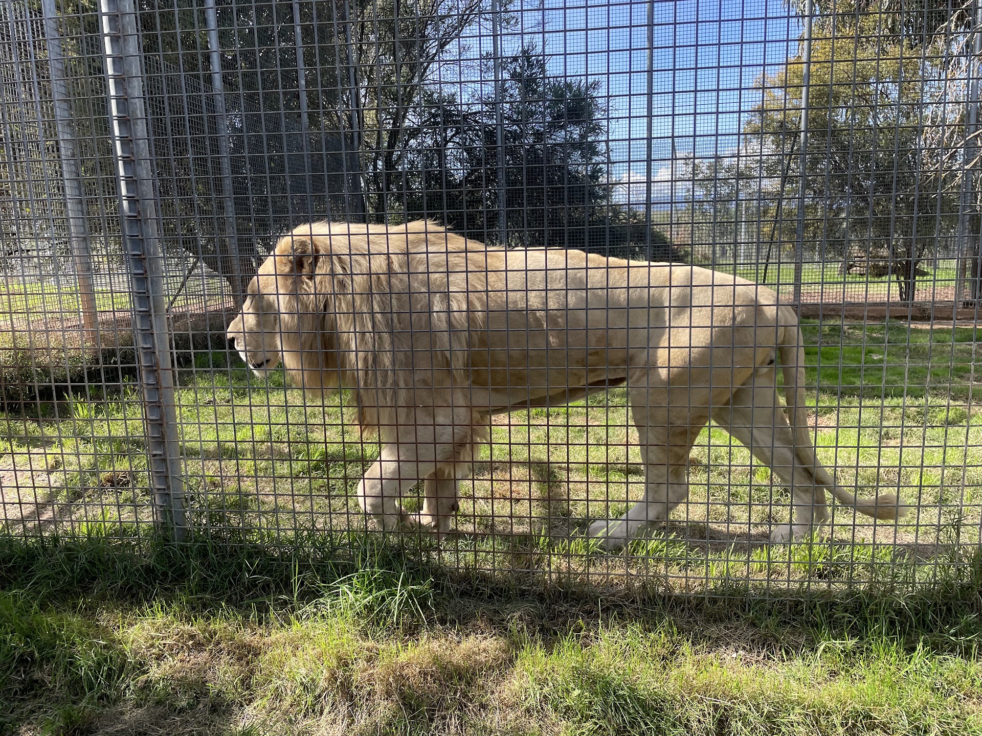 Mansfield Zoo photo 3