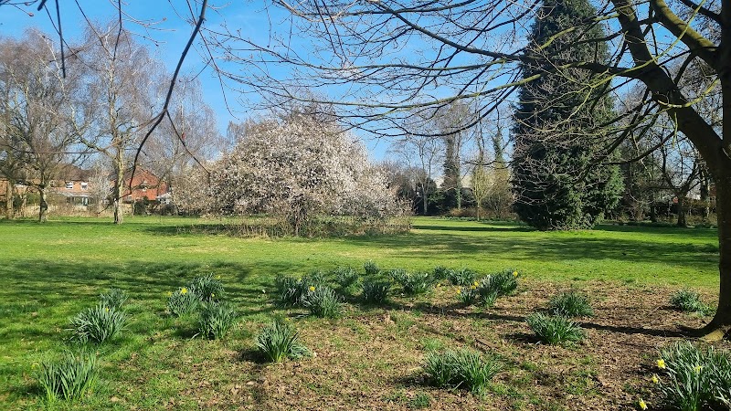 Maple Avenue Park photo 2