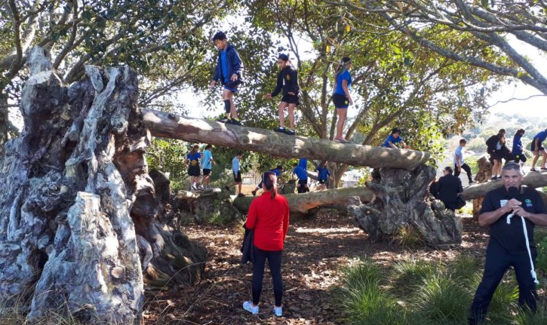 Mara Hupara- Traditional Maori Playground photo 3