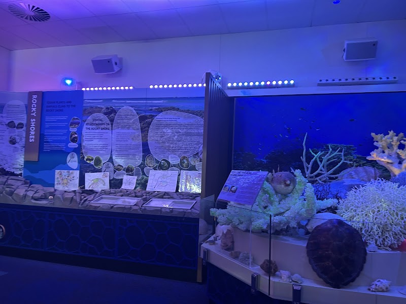 Marine Discovery Centre Hastings Point photo 2