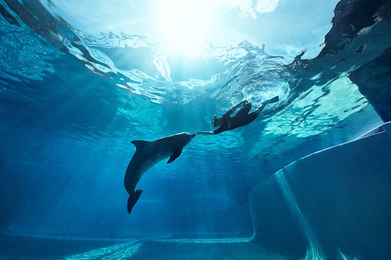 Marine Mammal Habitat