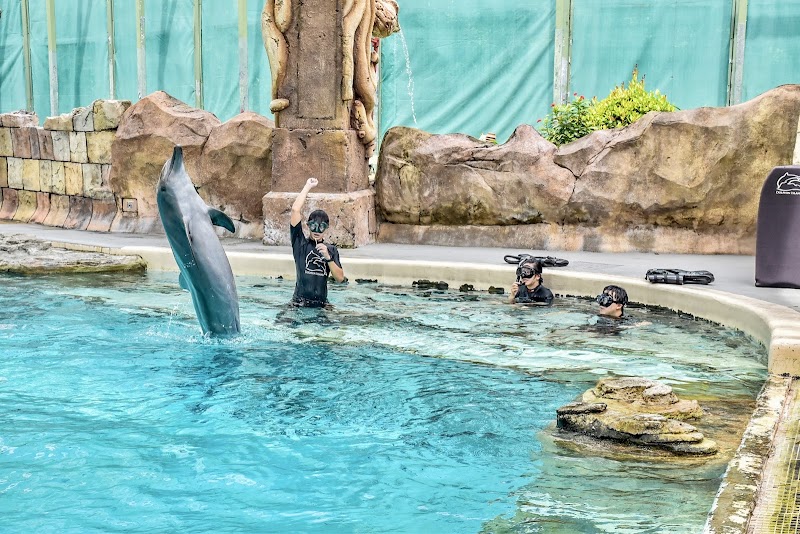 Marine Mammal Habitat photo 3