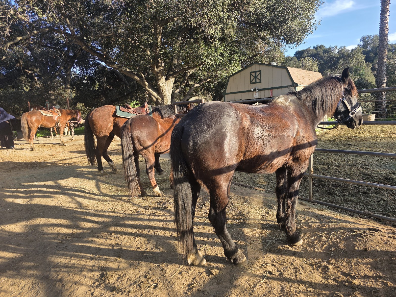 Marshall Canyon Equestrian Center