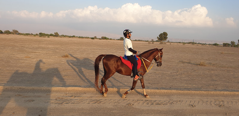 Marwan farm,hamraniyah