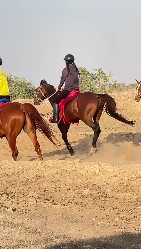 Marwan farm,hamraniyah photo 2